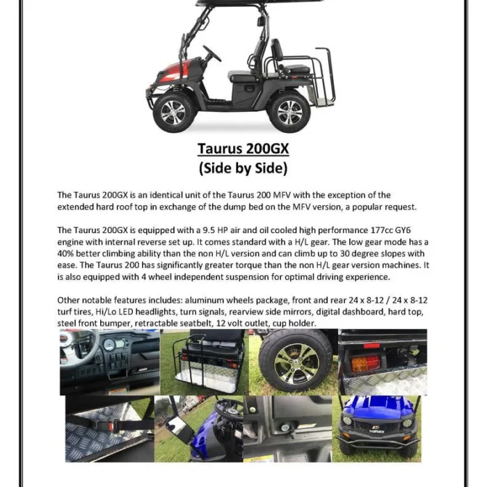 TM-TAURUS200GX-006-6-41.webp