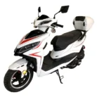 TM-TROPHY-50-016-TM-TROPHY50-16.webp