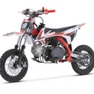 TrailMaster TM10 semi-automatic dirt bike