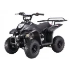 TaoTao Boulder B1 kids ATV