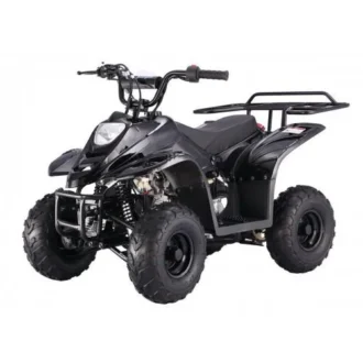 TaoTao Boulder B1 kids ATV
