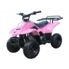 Tao-Boulder-B1-110-003-Boulder-Pink-Spider.webp