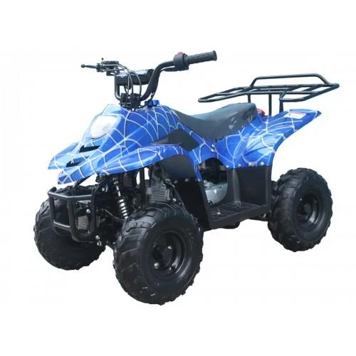 Tao-Boulder-B1-110-004-Boulder-Blue-Spider.webp Tao-Boulder-B1-110-004-Boulder-Blue-Spider.webp