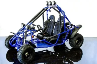 RPS Tranformer 200cc Gokart, Fully Automatic with reverse, 4-Stroke, Single Cylinder, Electric start