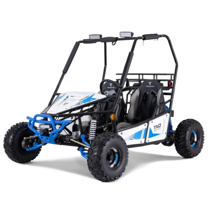 Triton-125Cc-Go-kart-005-4-78-scaled-1.webp