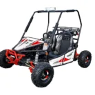 Triton-125Cc-Go-kart-012-11-49.webp