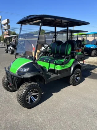 2022 ICON i40L Retro Green Black 48V LSV