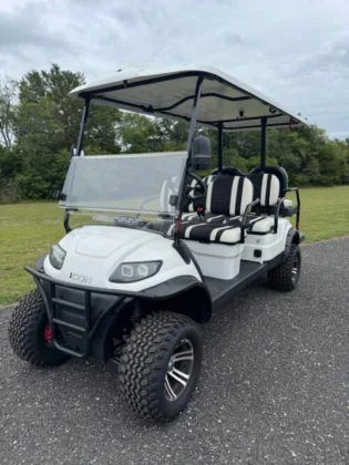 2022 ICON i60L 48V LSV in Pearl White Metallic