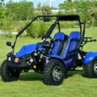 VENTURE-200-EFI-002-VENTURE-200-EFI-GOKART_4.webp