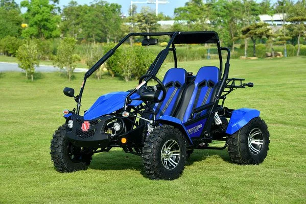 VENTURE-200-EFI-002-VENTURE-200-EFI-GOKART_4.webp VENTURE-200-EFI-002-VENTURE-200-EFI-GOKART_4.webp