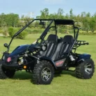 VENTURE-200-EFI-003-VENTURE-200-EFI-GOKART_12.webp