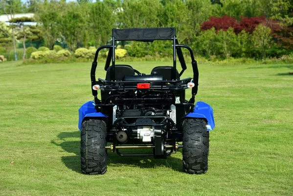VENTURE-200-EFI-004-VENTURE-200-EFI-GOKART_1.webp VENTURE-200-EFI-004-VENTURE-200-EFI-GOKART_1.webp