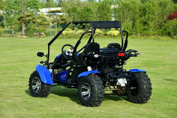 VENTURE-200-EFI-005-VENTURE-200-EFI-GOKART_2.webp VENTURE-200-EFI-005-VENTURE-200-EFI-GOKART_2.webp