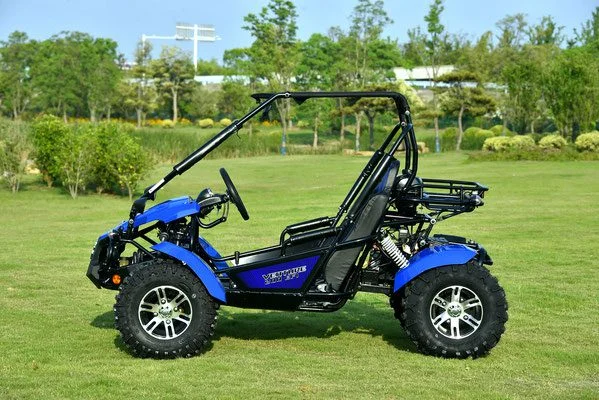 VENTURE-200-EFI-006-VENTURE-200-EFI-GOKART_3.webp VENTURE-200-EFI-006-VENTURE-200-EFI-GOKART_3.webp