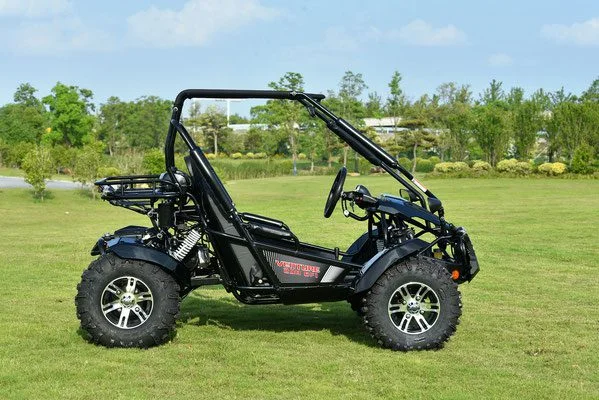 VENTURE-200-EFI-009-VENTURE-200-EFI-GOKART_7.webp VENTURE-200-EFI-009-VENTURE-200-EFI-GOKART_7.webp