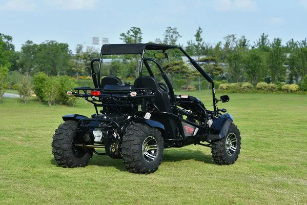 VENTURE-200-EFI-010-VENTURE-200-EFI-GOKART_8.webp VENTURE-200-EFI-010-VENTURE-200-EFI-GOKART_8.webp