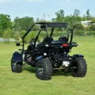 VENTURE-200-EFI-012-VENTURE-200-EFI-GOKART_10.webp