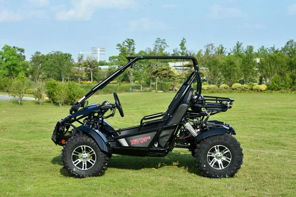 VENTURE-200-EFI-013-VENTURE-200-EFI-GOKART_11.webp VENTURE-200-EFI-013-VENTURE-200-EFI-GOKART_11.webp