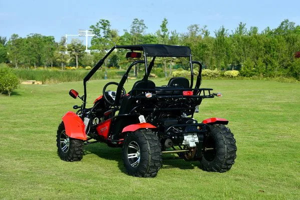VENTURE-200-EFI-019-VENTURE-200-EFI-GOKART_18.webp VENTURE-200-EFI-019-VENTURE-200-EFI-GOKART_18.webp