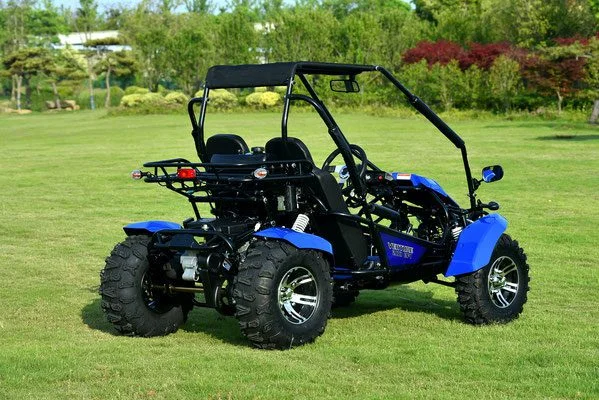 VENTURE-200-EFI-024-VENTURE-200-EFI-GOKART_24.webp VENTURE-200-EFI-024-VENTURE-200-EFI-GOKART_24.webp
