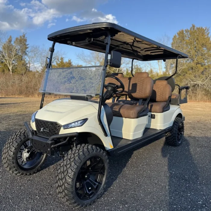 2025 MadJax X6L Pearl White Metallic lithium LSV with Ranch Brown upholstery