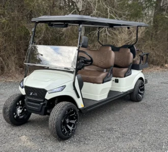 2025 MadJax X6 Pearl White Metallic lithium LSV with Ranch Brown upholstery