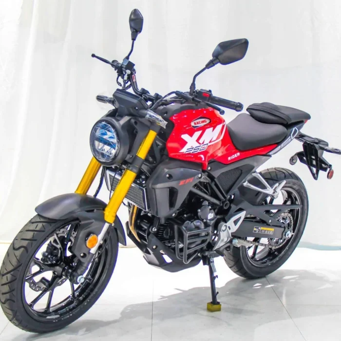 XMT-250-EFI-001-1-3.webp Vitacci XMT 250 EFI street bike